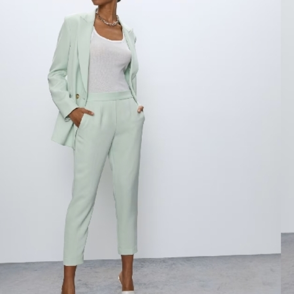 Aritzia Babaton Atelier Conan Pants, Academia,Japanese Crepe Fabric